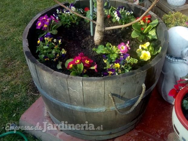 Jardinera de Barril con Magnolio y Flores de temporada