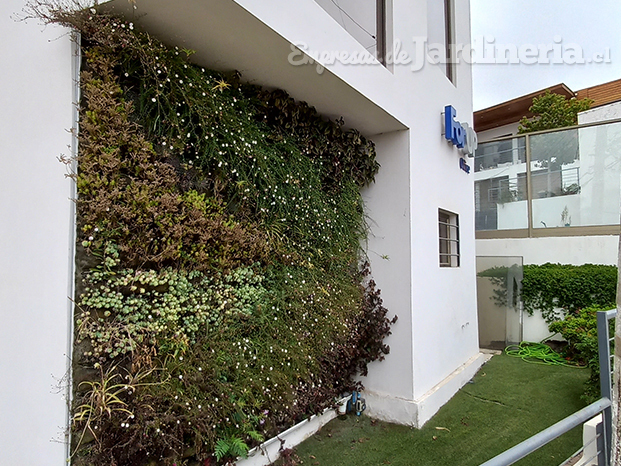 Jardín Vertical Exterior, La Herradura, Coquimbo.