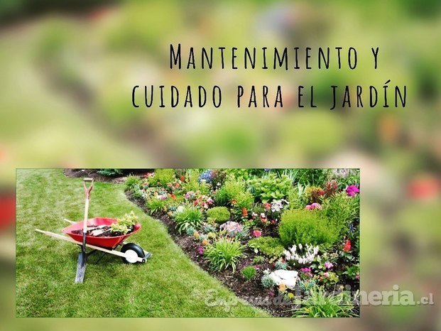 Mantenimiento para jardines 